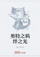 奥特之羁绊之光